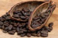 /album/fotogaleria/raw-cacao-beans-jpg/